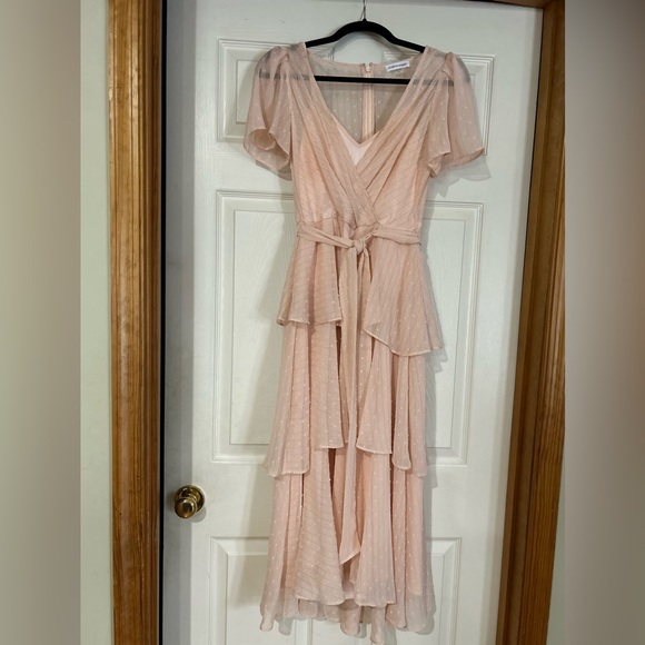Calvin Klein Blush Dress - Picture 1 of 5